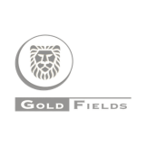 Wires & Wireless Client | Goldfields